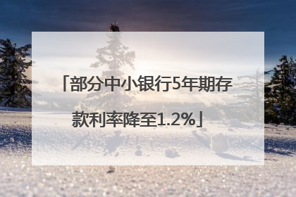 部分中小银行5年期存款利率降至1.2%