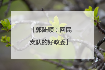 郭陆顺：回民支队的好政委