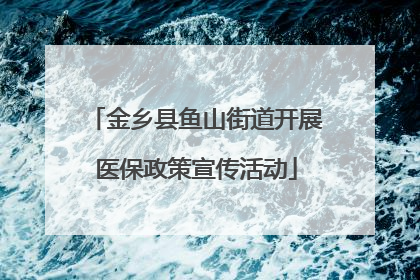 金乡县鱼山街道开展医保政策宣传活动