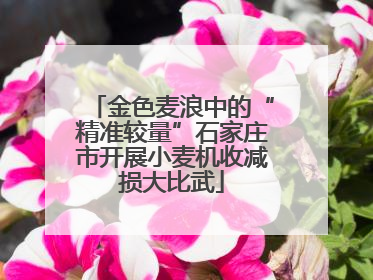 金色麦浪中的“精准较量”石家庄市开展小麦机收减损大比武
