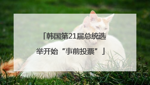 韩国第21届总统选举开始“事前投票”