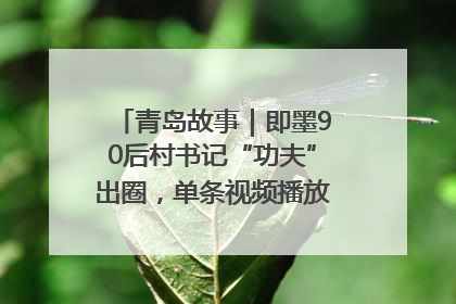 青岛故事｜即墨90后村书记“功夫”出圈，单条视频播放量过600万