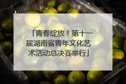 青春绽放！第十一届湖南省青年文化艺术活动总决赛举行