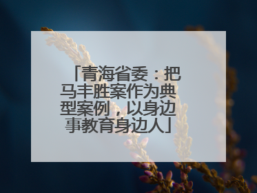 青海省委：把马丰胜案作为典型案例，以身边事教育身边人