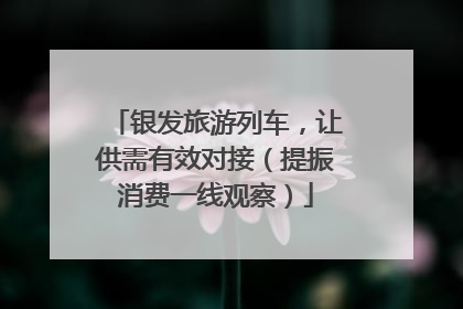 银发旅游列车，让供需有效对接（提振消费一线观察）