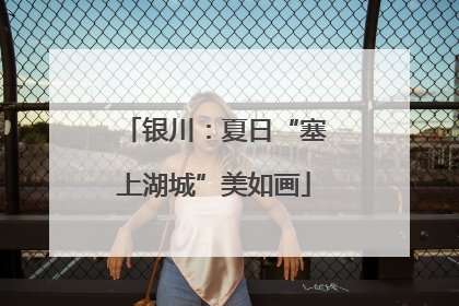 银川：夏日“塞上湖城”美如画