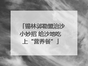 锡林郭勒盟治沙小妙招 给沙地吃上“营养餐”