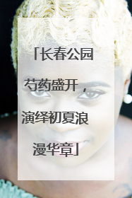长春公园芍药盛开，演绎初夏浪漫华章