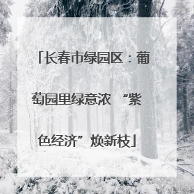 长春市绿园区：葡萄园里绿意浓 “紫色经济”焕新枝