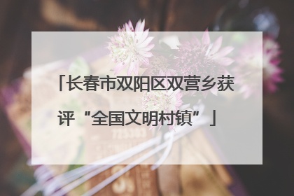 长春市双阳区双营乡获评“全国文明村镇”