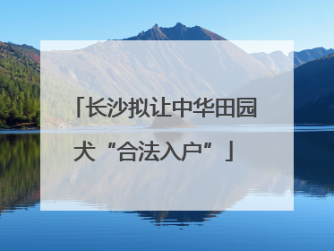 长沙拟让中华田园犬“合法入户”