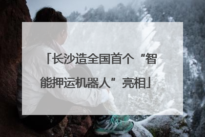 长沙造全国首个“智能押运机器人”亮相