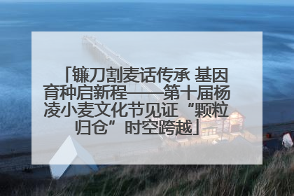 镰刀割麦话传承 基因育种启新程——第十届杨凌小麦文化节见证“颗粒归仓”时空跨越