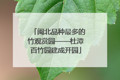 闽北品种最多的竹观赏园——杜潭百竹园建成开园