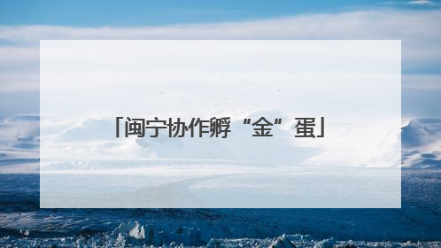 闽宁协作孵“金”蛋