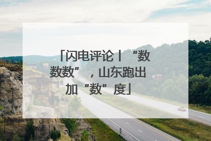 闪电评论丨“数数数”，山东跑出加“数”度