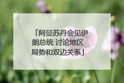 阿曼苏丹会见伊朗总统 讨论地区局势和双边关系