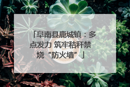 阜南县鹿城镇：多点发力 筑牢秸秆禁烧“防火墙”