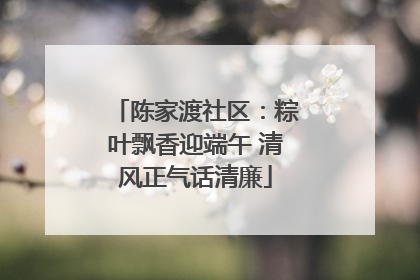 陈家渡社区：粽叶飘香迎端午 清风正气话清廉