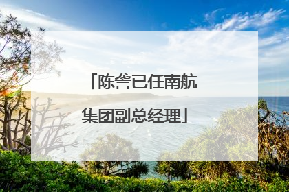 陈詟已任南航集团副总经理