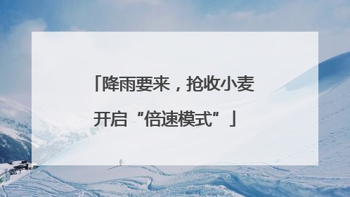 降雨要来，抢收小麦开启“倍速模式”