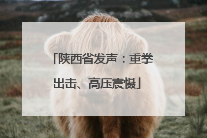 陕西省发声：重拳出击、高压震慑