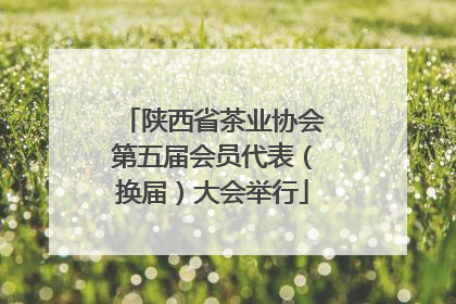 陕西省茶业协会第五届会员代表（换届）大会举行