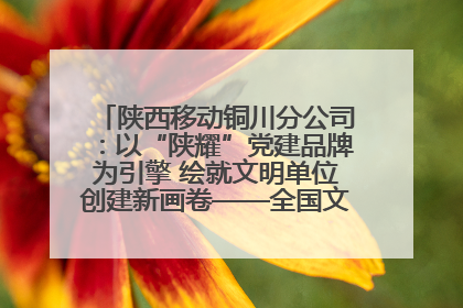 陕西移动铜川分公司：以“陕耀”党建品牌为引擎 绘就文明单位创建新画卷——全国文明单位创建纪实
