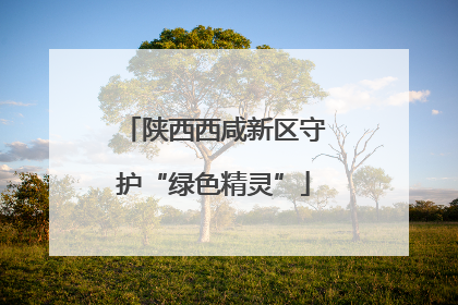 陕西西咸新区守护“绿色精灵”