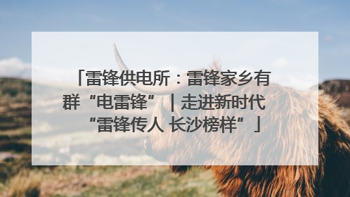 雷锋供电所：雷锋家乡有群“电雷锋”｜走进新时代“雷锋传人 长沙榜样”