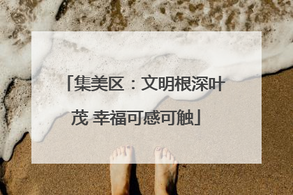 集美区：文明根深叶茂 幸福可感可触