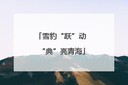 雪豹“跃”动 “典”亮青海