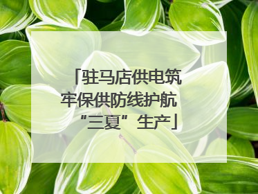 驻马店供电筑牢保供防线护航“三夏”生产