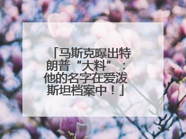 马斯克曝出特朗普“大料”：他的名字在爱泼斯坦档案中！