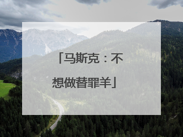 马斯克：不想做替罪羊