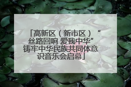 高新区（新市区）“丝路回响 爱我中华”铸牢中华民族共同体意识音乐会启幕