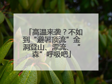 高温来袭？不如到“避暑顶流”金洞登山、漂流、“森”呼吸吧