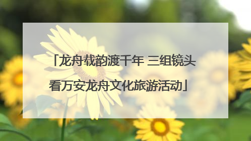 龙舟载韵渡千年 三组镜头看万安龙舟文化旅游活动