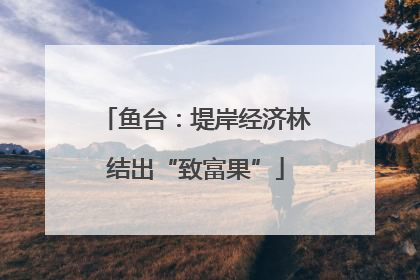 鱼台：堤岸经济林结出“致富果”