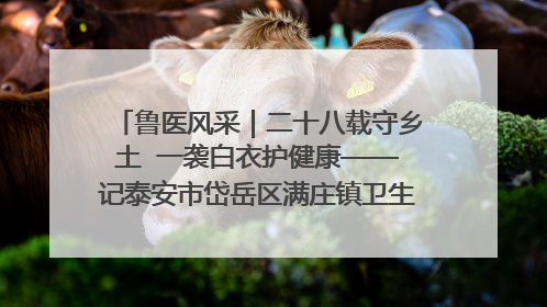 鲁医风采｜二十八载守乡土  一袭白衣护健康——记泰安市岱岳区满庄镇卫生院院长、主任医师张宝喜