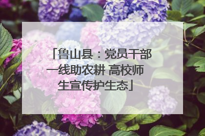 鲁山县：党员干部一线助农耕 高校师生宣传护生态