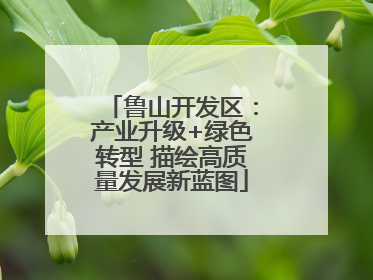 鲁山开发区：产业升级+绿色转型 描绘高质量发展新蓝图