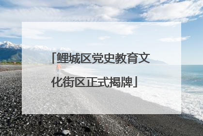 鲤城区党史教育文化街区正式揭牌