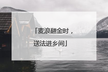 麦浪翻金时，送法进乡间