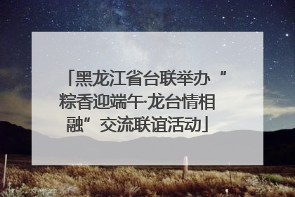 黑龙江省台联举办“粽香迎端午·龙台情相融”交流联谊活动