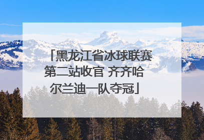 黑龙江省冰球联赛第二站收官 齐齐哈尔兰迪一队夺冠