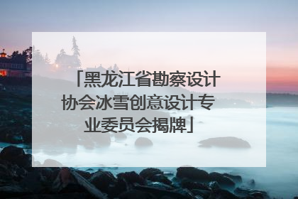 黑龙江省勘察设计协会冰雪创意设计专业委员会揭牌