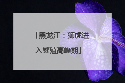 黑龙江：狮虎进入繁殖高峰期