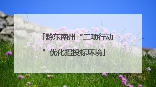 黔东南州“三项行动”优化招投标环境