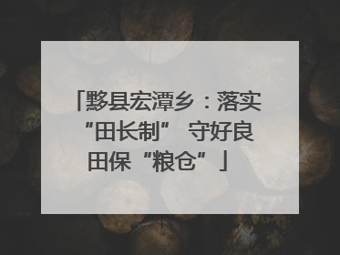 黟县宏潭乡：落实“田长制” 守好良田保“粮仓”